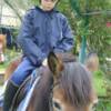 TRAILRIDERS - Corfu, Greece - Children-friendly horses
