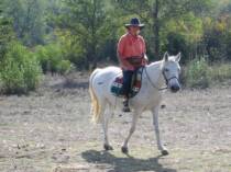 Trailriders owner Sally Lewis with Penny the horse
