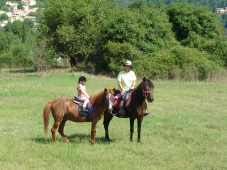 TRAILRIDERS Horse Stables