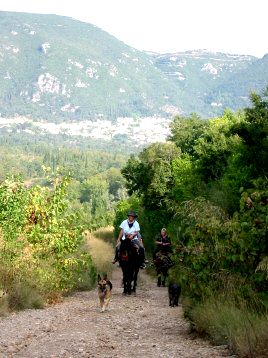 Pferde Reiten Korfu