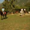 TRAILRIDERS - Corfu, Greece - Horse Trekking Greece