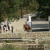 TRAILRIDERS - Corfu, Greece - Western Style Horse Riding