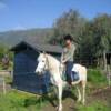 TRAILRIDERS - Corfu, Greece - Natural Horsemanship