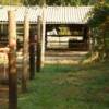 TRAILRIDERS - Corfu, Greece - Horses on Corfu